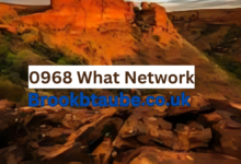 0968 What Network