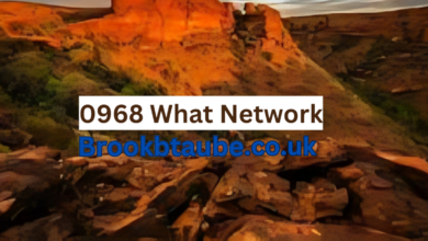0968 What Network